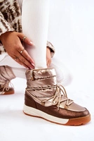 Nuances de marron et beige || Złoty
