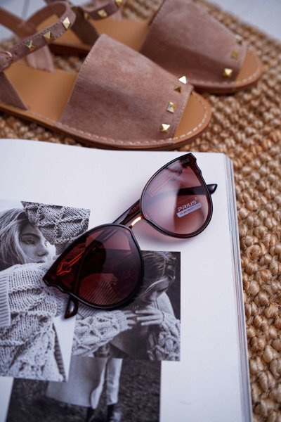 Lunettes de soleil Prius PR-V06 marron