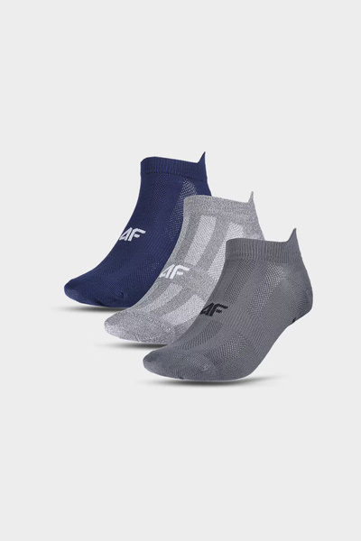 Chaussettes d'Entraînement pour Hommes 4F Multicolore 4FWMM00UFSOM137-95S