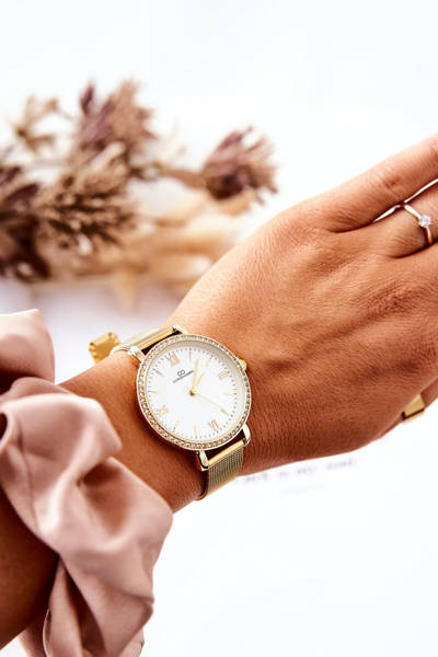 Women's Watch With Zircons On Mesh Bracelet Giorgio&Dario Gold