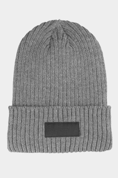 Men's Insulated Winter Hat 4F 4FAW23ACAPM306-24M Grey