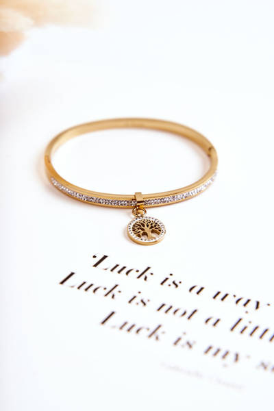Bracelet en acier avec zircon cubique Arbre de vie Gold Alive