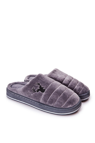 Vyriškos paminkštintos šlepetės Grey Ronny