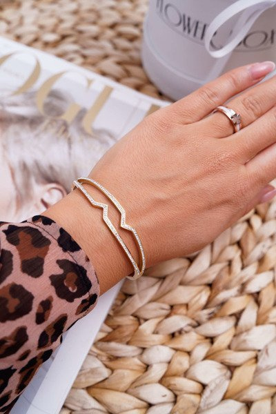 Women's Steel Bracelet With Zircons Gold Grenn