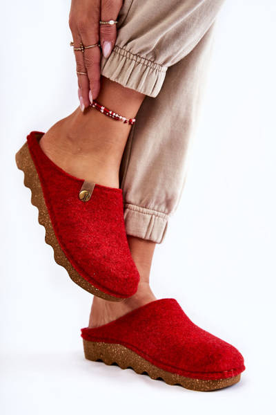 Domestic Slippers Prophylactic Slippers Inblu DK-08-075 Red
