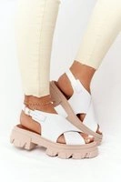 White || Brown