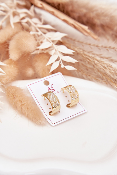 Boucles d'oreilles Femmes Acier Chirurgical avec Zircones Or