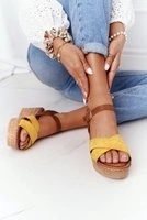 Brown || Yellow