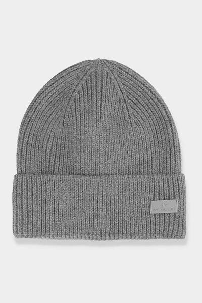 Men's Insulated Winter Hat 4F 4FAW23ACAPM306-24M Grey
